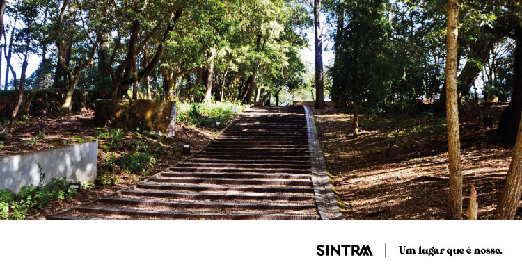 Jardim da Biblioteca de Sintra recebe “O Rouxinol do Imperador”