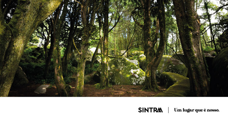 Sintra assinala aniversário do Parque Natural Sintra-Cascais