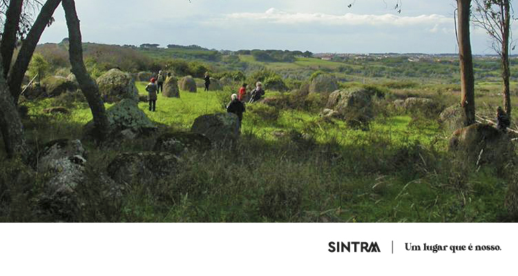 _7_Banner_cultura_megalítica_Barreira