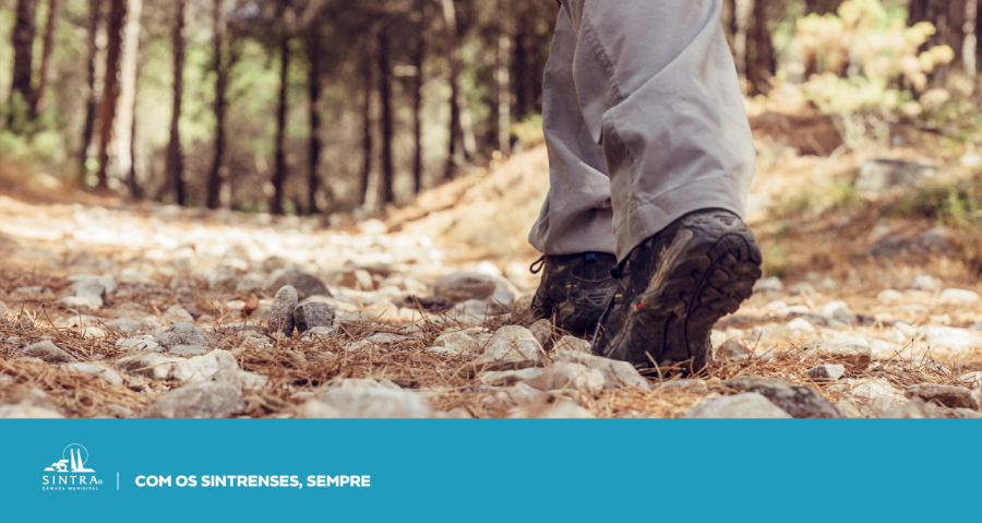 3Temas3_Rotas_202557